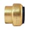 Apollo 1 in. Brass Push-to-Connect Cap FSBCAP1 - alternate 4